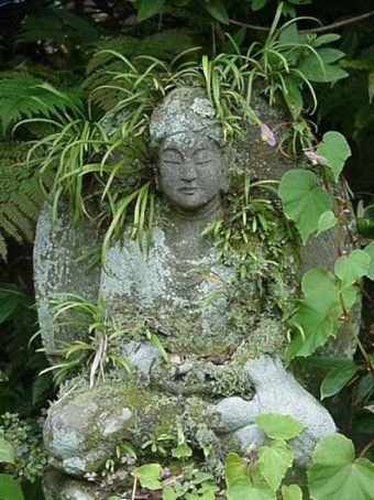 Amida. Copyright Mark Schumacher, http://www.onmarkproductions.com/html/amida.shtml